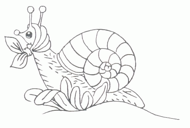 Ślimaki kolorowanki